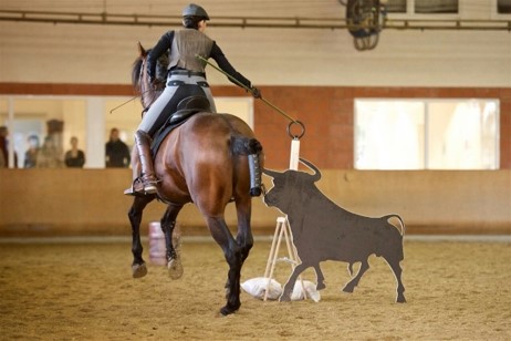 Fargo_Trail_Stier